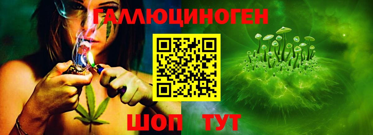 Родники  Галлюциногенные грибы Cubensis  Вход с VPN 
